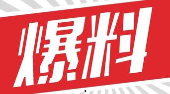 独家爆料素材,震惊内幕,揭秘某事件背后惊人真相!